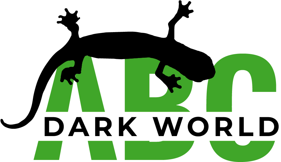 abc dark world logo original