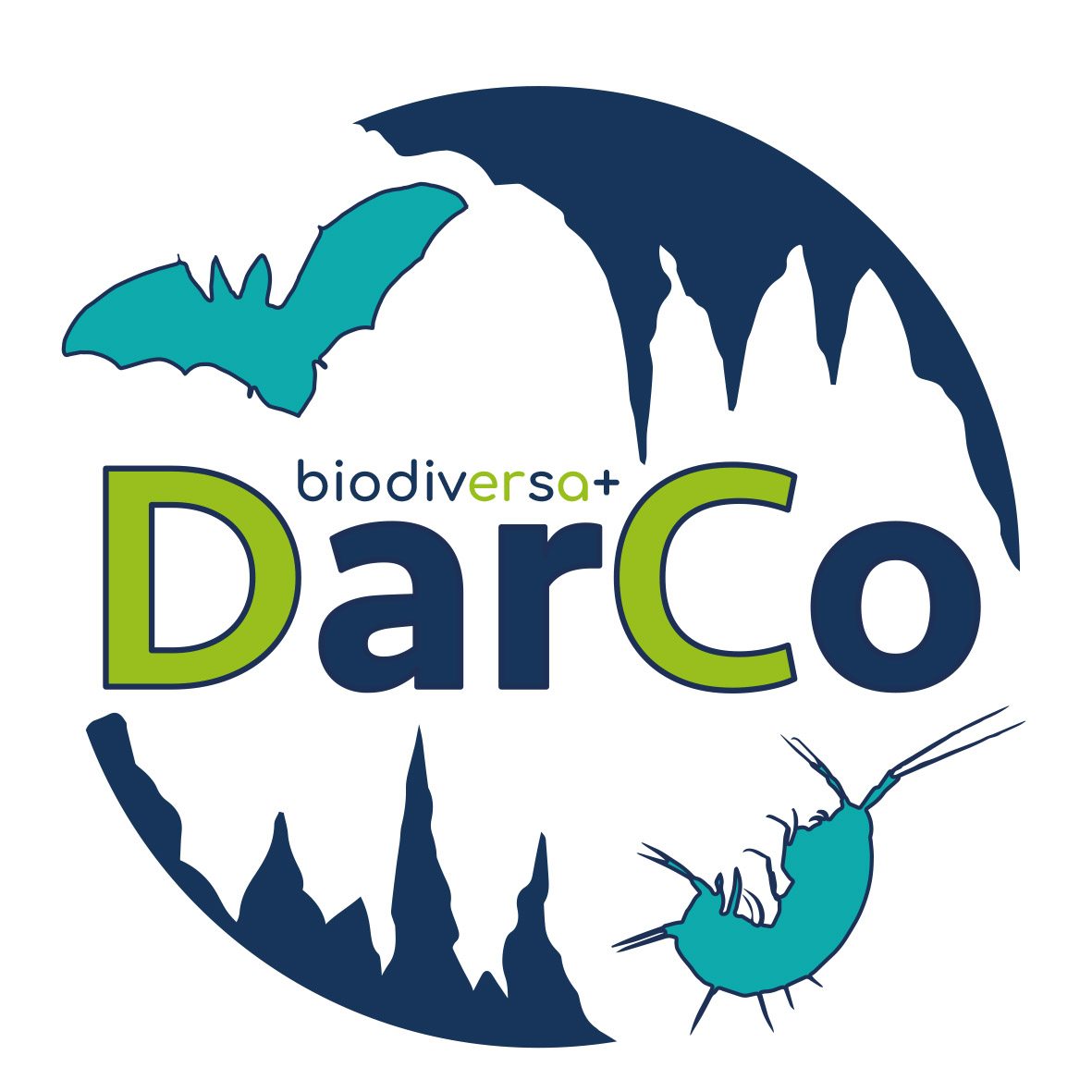 DarCo logo